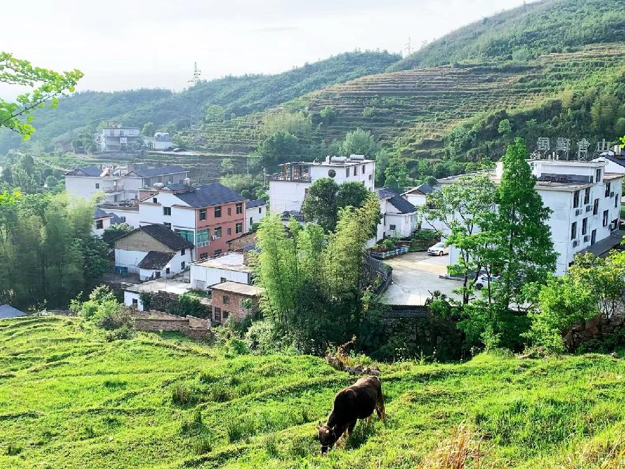 夏日游武功山(图2)