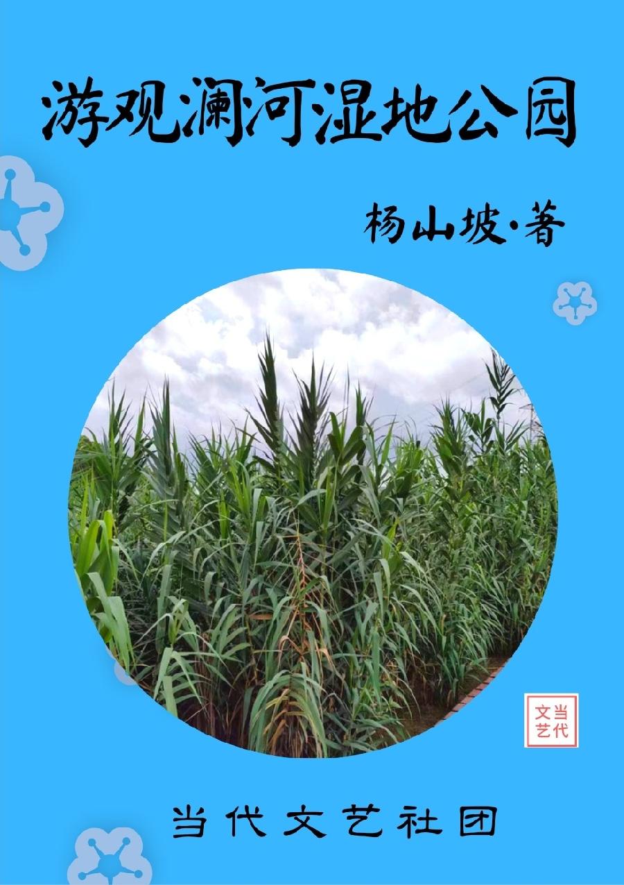 【当代文艺】《游观澜河湿地公园》作者:杨山坡(图2)