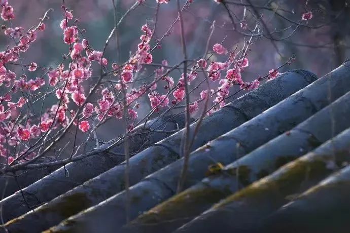 方台钓韵（图3）
