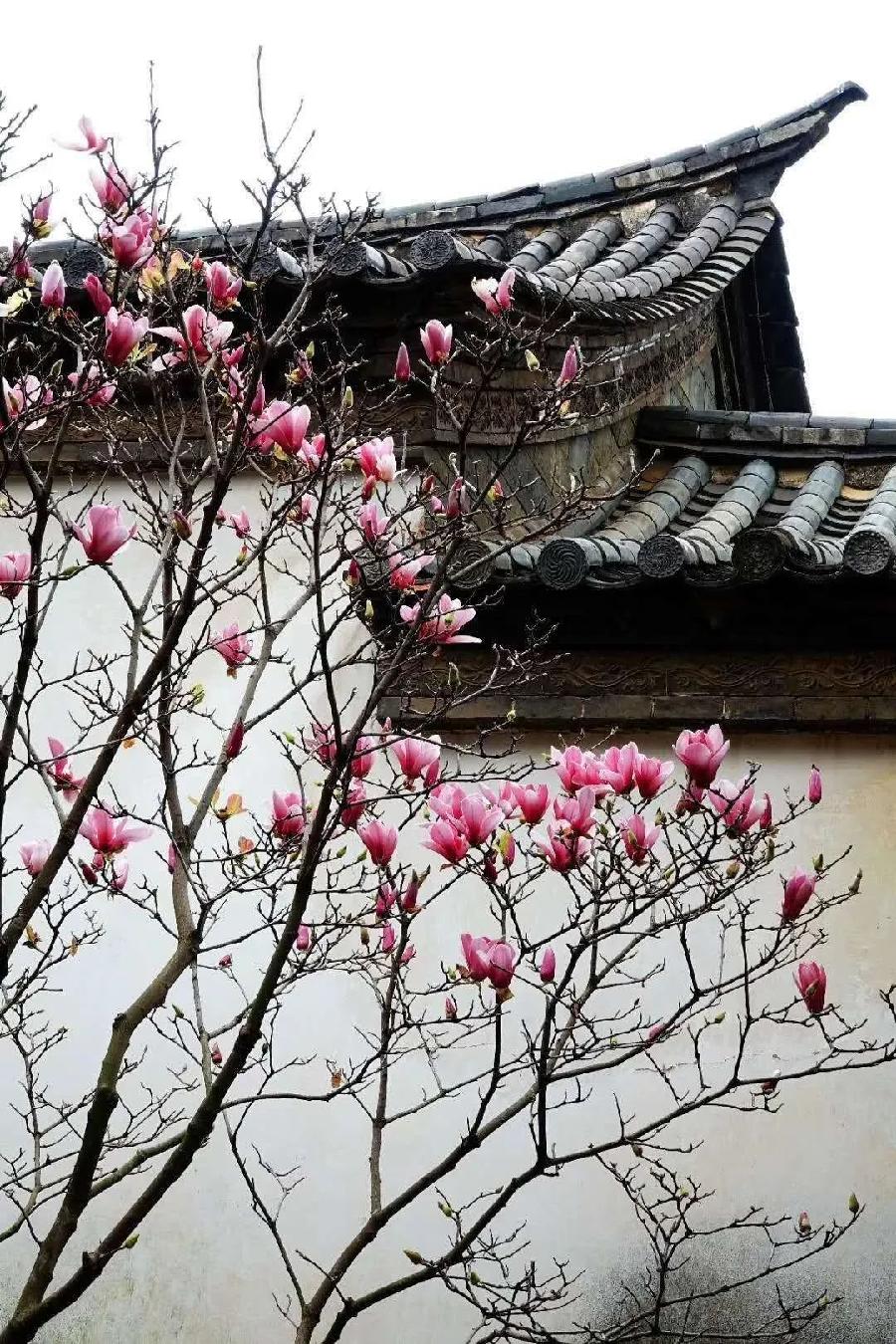 方台钓韵（图2）