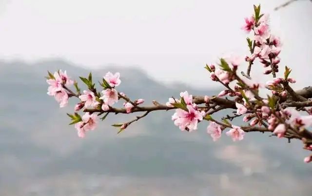 方台钓韵（图4）