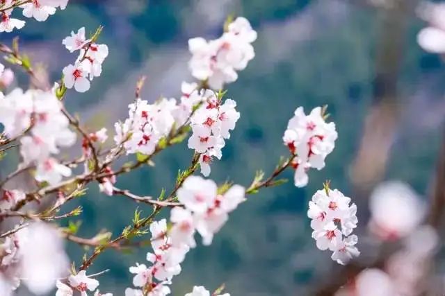 方台钓韵（图5）