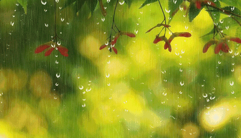 【新诗大观】听雨||文/宋茂林