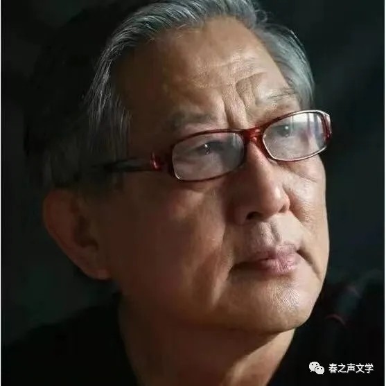【中华诗艺社•春之声精英朗诵团《信》‖作者:桑恒昌‖金牌主播:宏红‖审核:宏红(第1期)(图6)