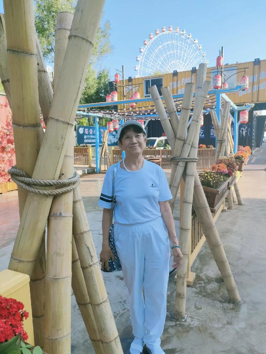 走进梅河清明上河图 作者孙秀兰(吉林)（图47）