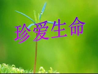 【都市头条】推介胡清普《七七事变 卢沟桥》外三首请欣赏（图7）