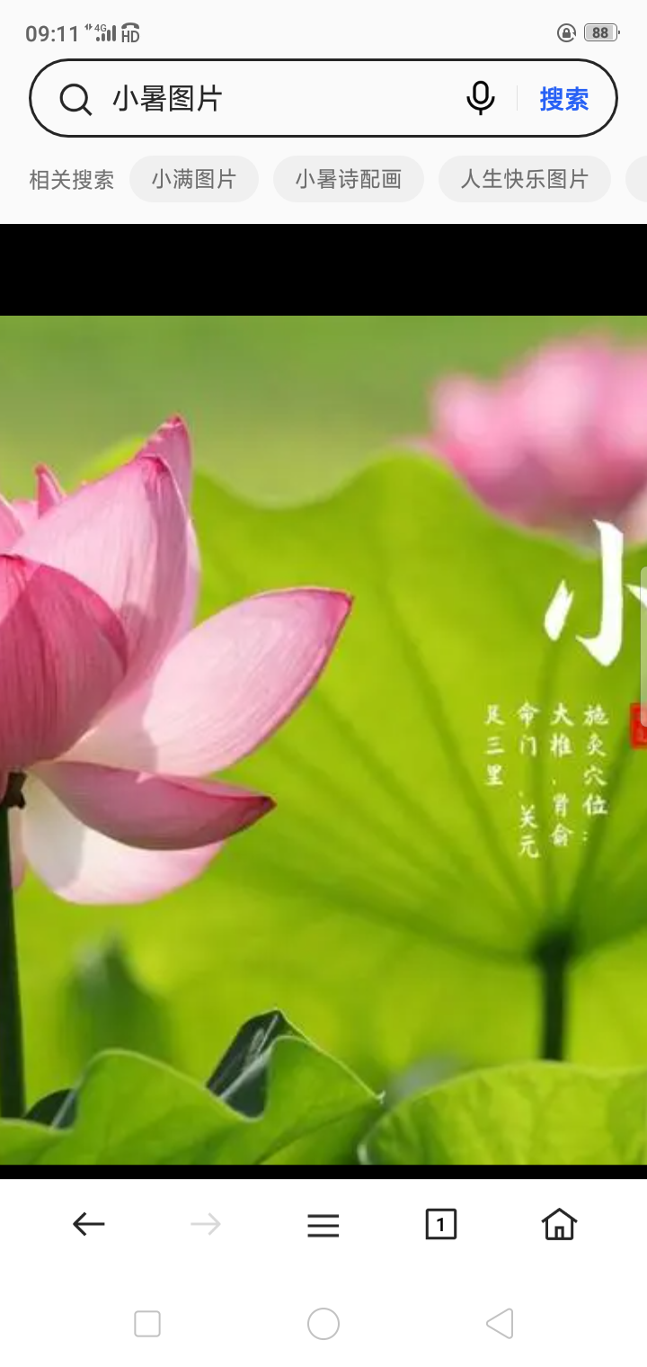 快数伏了（图2）