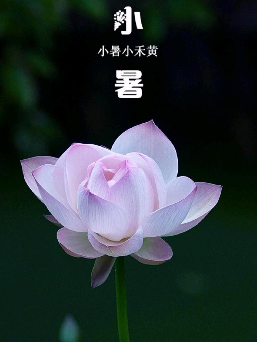 【小暑节气专刊】【九江文学社：北京头条】《群合集》（图16）