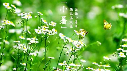 【都市头条】推介胡清普《七七事变 卢沟桥》外三首请欣赏（图5）