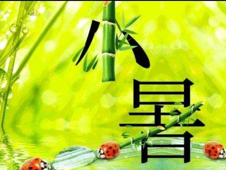 【精英名篇】【九江文学社：北京头条】《五绝四首 小暑抒怀》文/杨学是（图4）