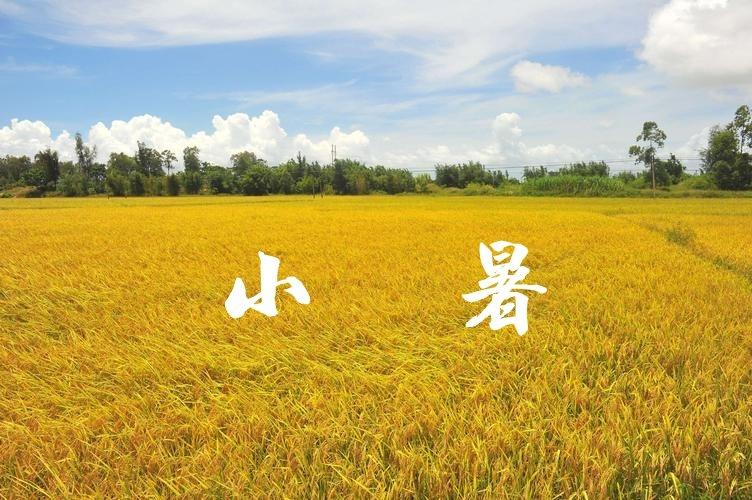 作家李武兵《这种乡情不会老去》组诗｜京港澳台世界头条总社发布