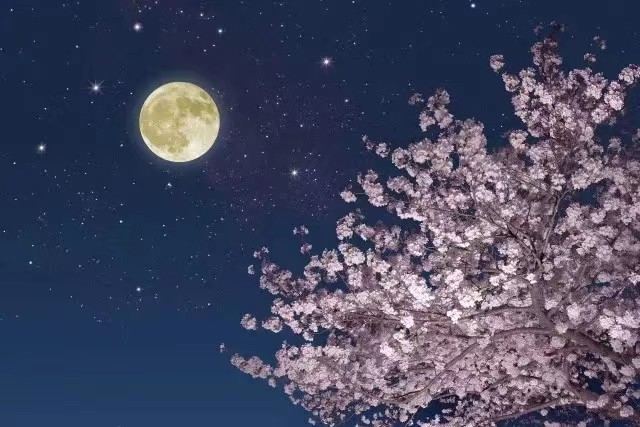 [北京头条]《红尘如梦》作者/雨下罗加，主播/柔荑