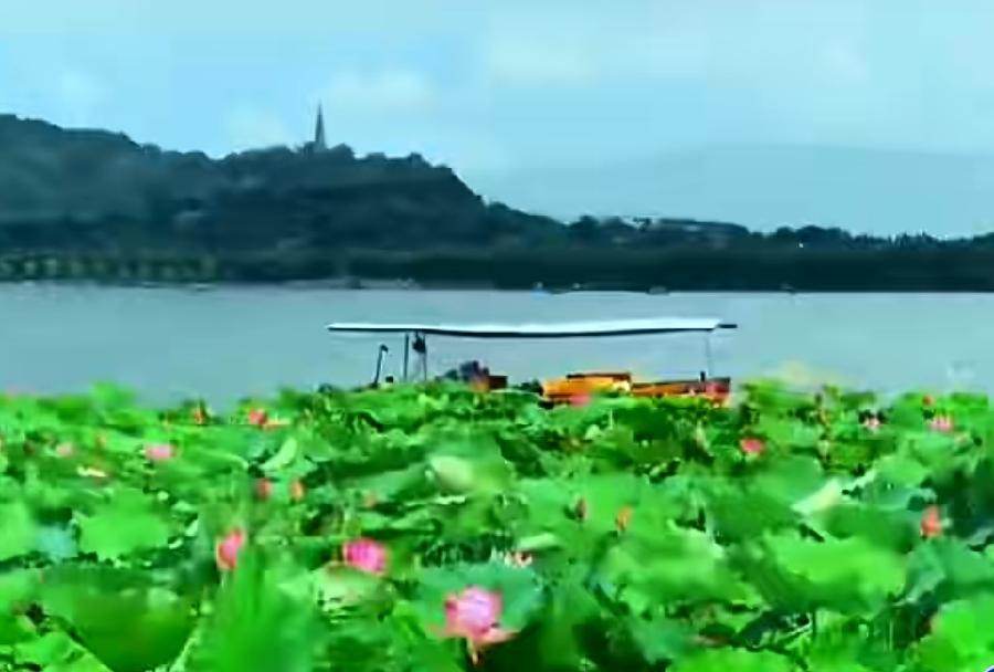 【华夏好诗词】分享 鹞 诗词六首请欣赏(图6)