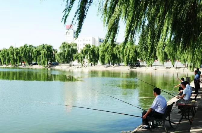 【华夏好诗词】分享 鹞 诗词六首请欣赏(图5)