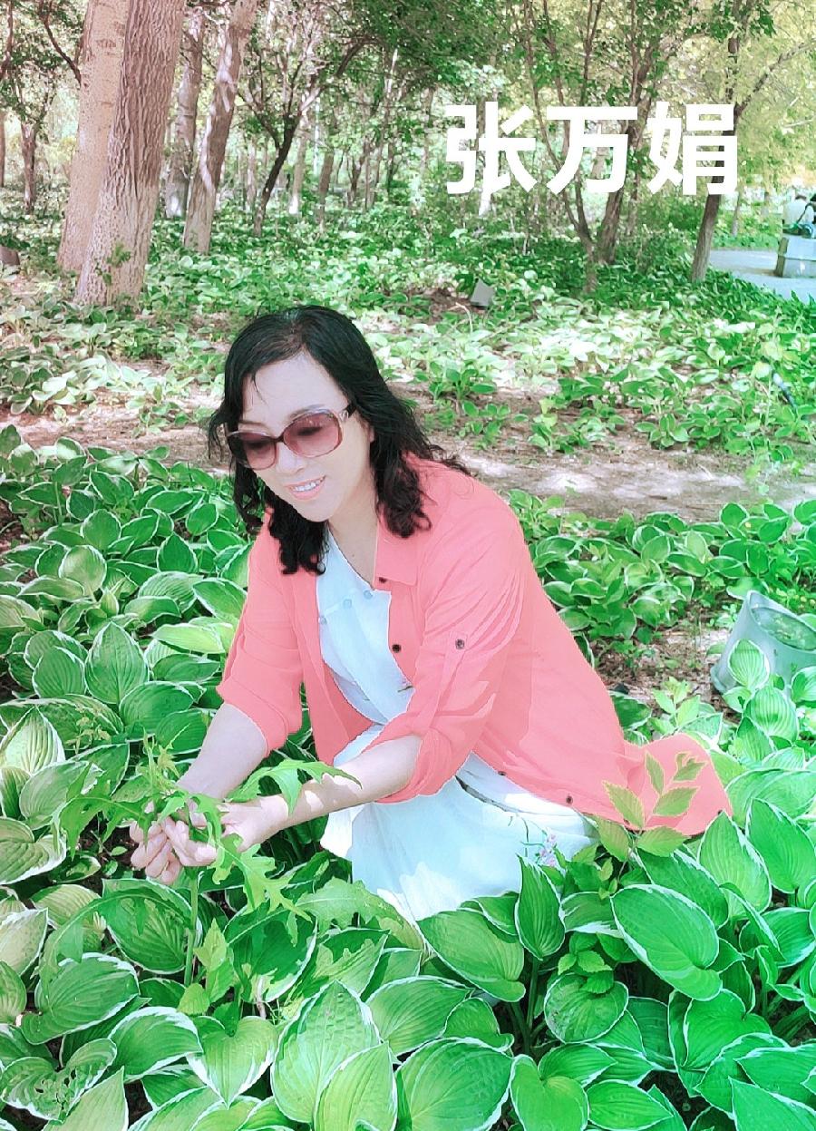 家驹正音诵读精英培训营 同文诵《雨巷》（图7）