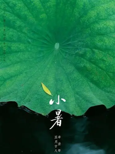 [桃源国际诗歌古韵]2022年古韵颂赞合集（四十一）作者:施性山[总1134期]（图3）