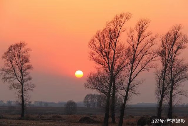 《诗絮-诗评专栏》(图26)