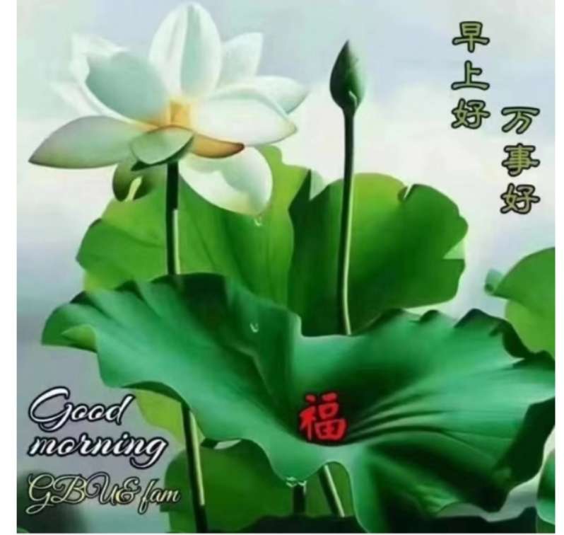 野草先生引人入胜《寻找自我》丨金牌主播天乐｜韵芘胡桂芹感怀｜中国桂林都市文学社743期（图3）