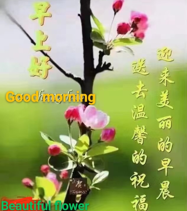 野草先生引人入胜《寻找自我》丨金牌主播天乐|韵芘胡桂芹感怀|中国桂林都市文学社743期(图7)