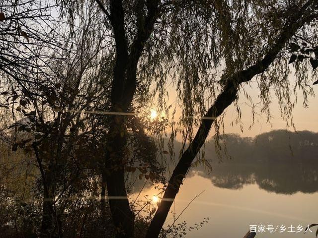 〔诗词小辑〕作者 张维平(河北)【冰心文化传媒】主编冰心(图7)