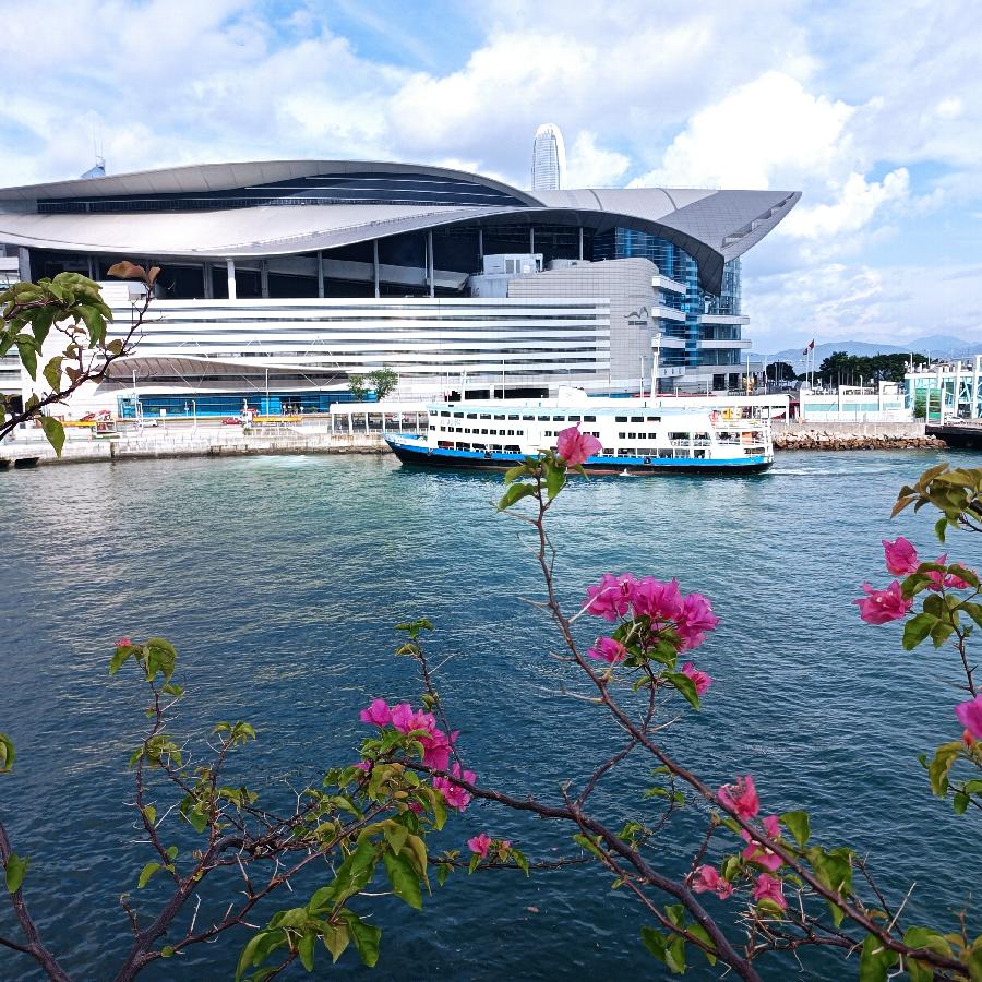 湾仔码头海滨随拍(图15)