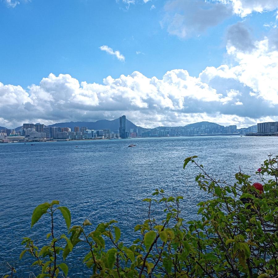 湾仔码头海滨随拍(图23)