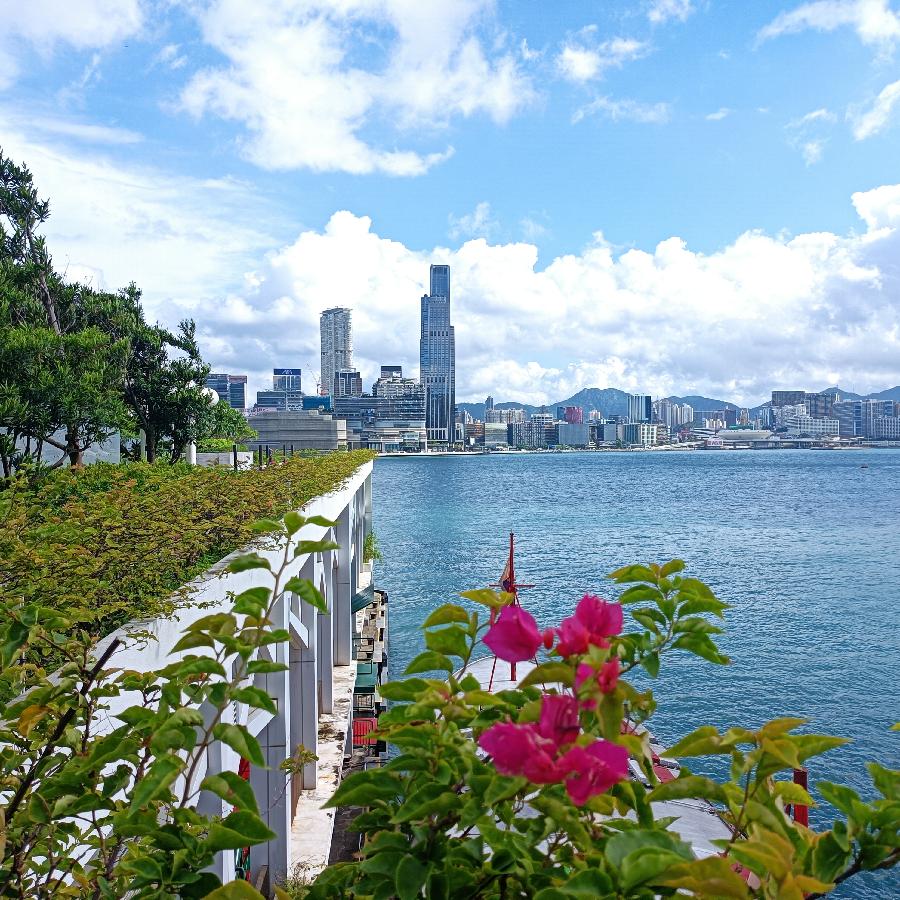 湾仔码头海滨随拍(图41)