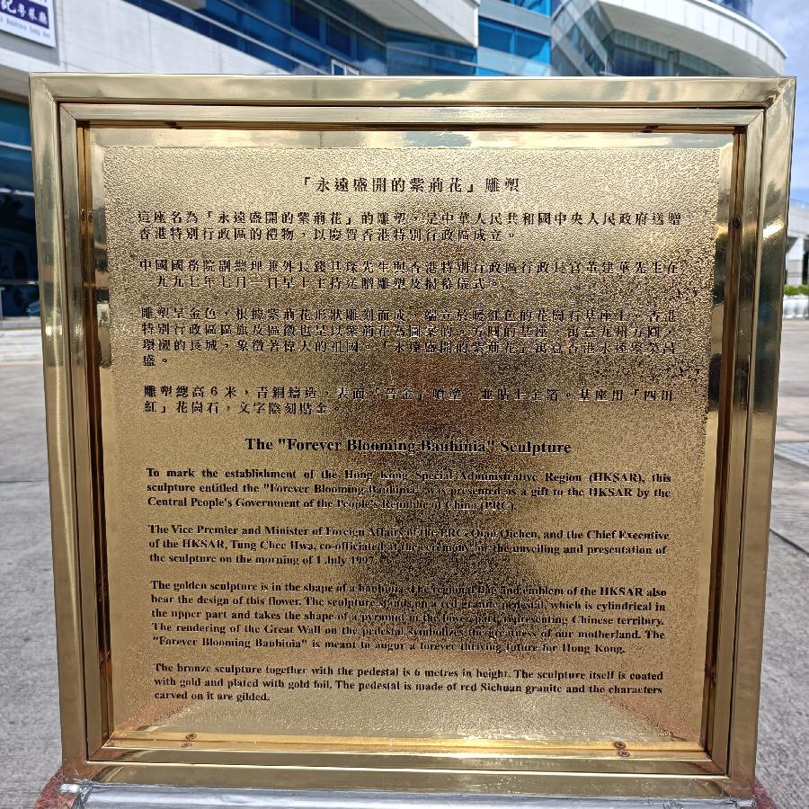 湾仔码头海滨随拍(图65)