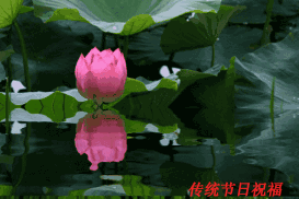 〔诗词专辑一〕作者 王新华(河北)【冰心文化传媒】主编冰心(图7)