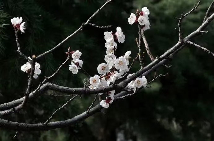 《作家刘瑾-诗选》(图7)