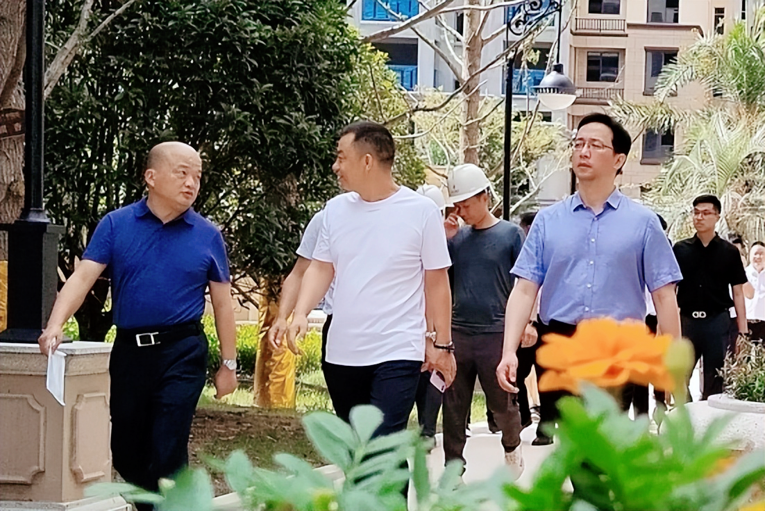 湖北武穴:何太华等到御江幸福里智慧小区“办实事”掠影