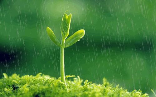 诗意传情诗社【心夜琴音】文‖姚京平 诵‖李华敏(902)(图13)