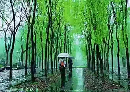 【同题诗】小暑后一日