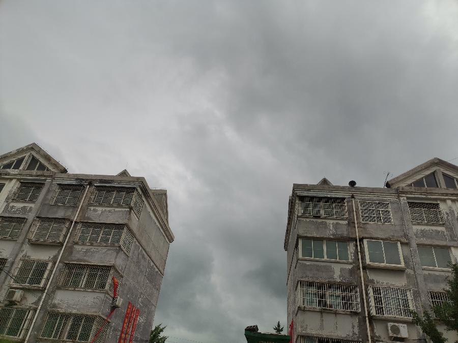 【泰山词韵】《榕树下—肖家之歌》作词/刘培龙 肖思任 肖建军（图42）
