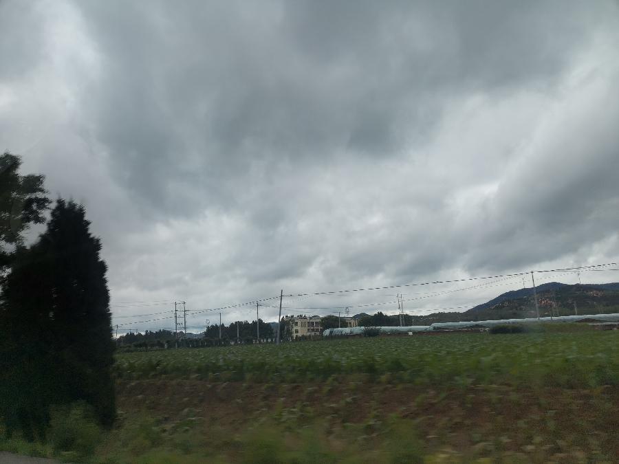 【泰山词韵】《榕树下—肖家之歌》作词/刘培龙 肖思任 肖建军（图46）