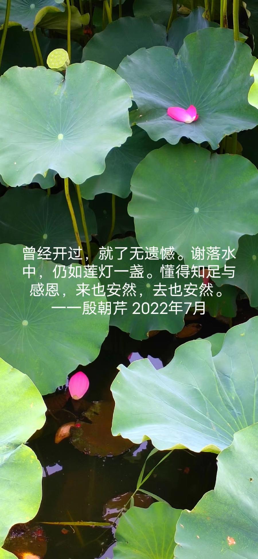 【连载厅】殷朝芹老师新作《见景生情》连载(十二)（图6）