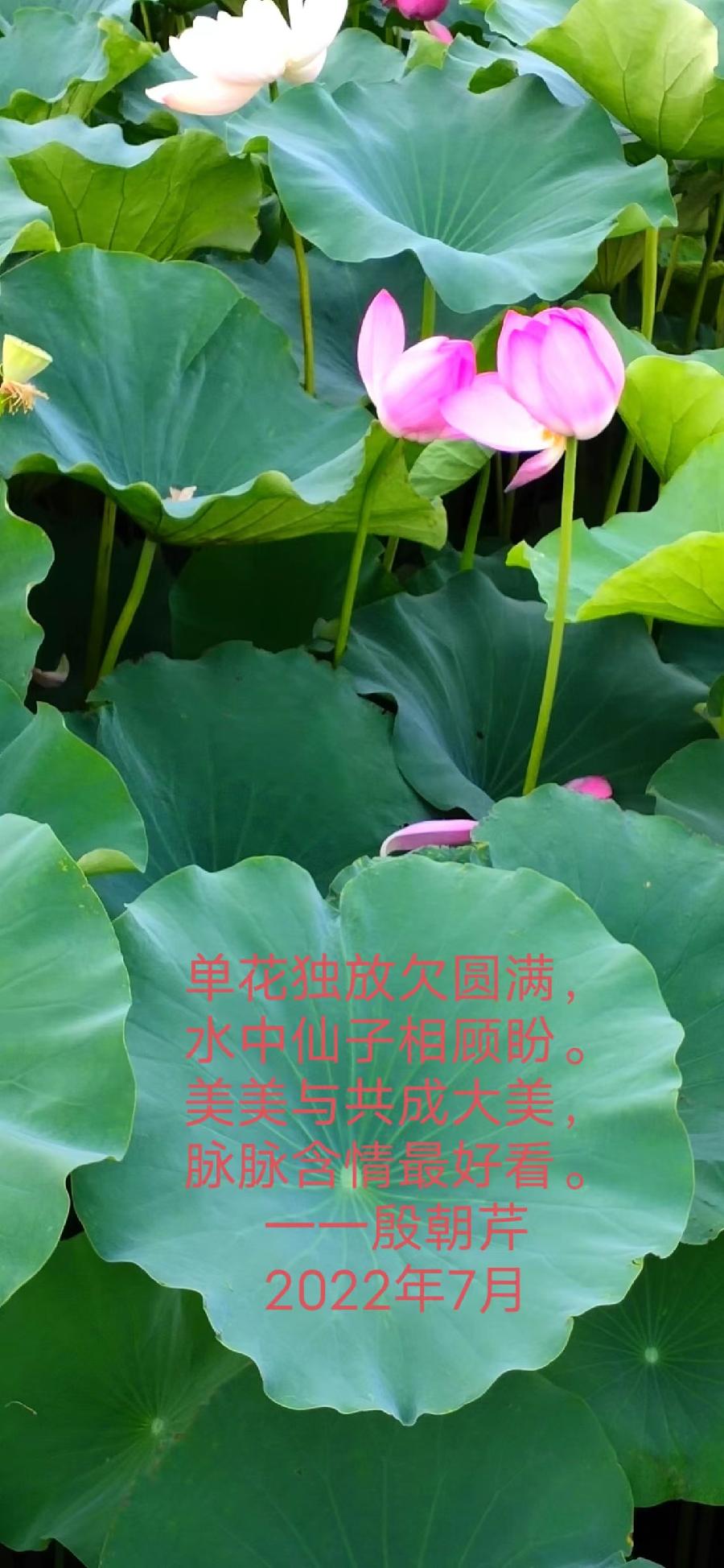 【连载厅】殷朝芹老师新作《见景生情》连载(十二)（图7）