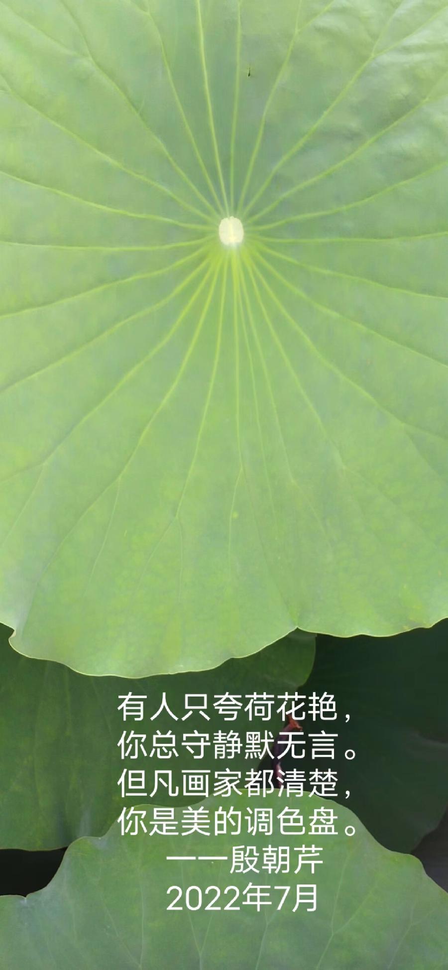 【连载厅】殷朝芹老师新作《见景生情》连载(十二)（图9）
