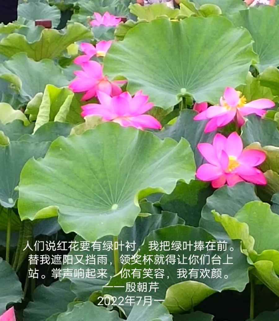 【连载厅】殷朝芹老师新作《见景生情》连载(十二)（图8）