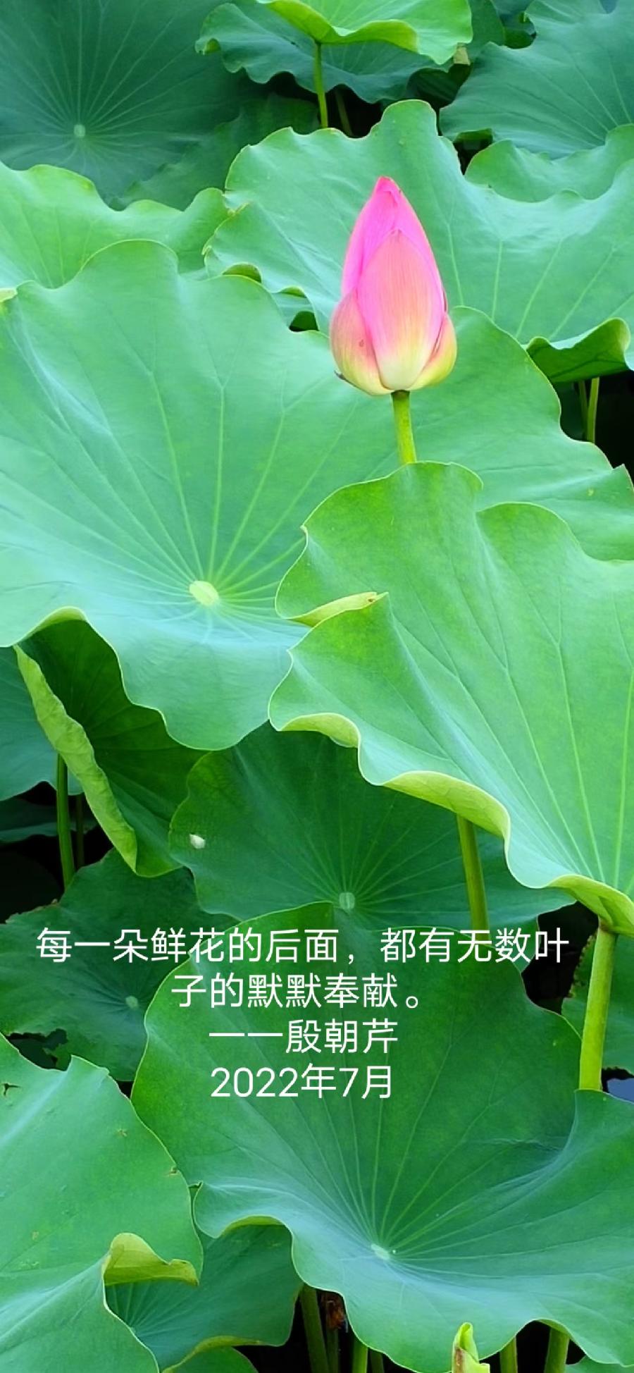 【连载厅】殷朝芹老师新作《见景生情》连载(十二)（图11）