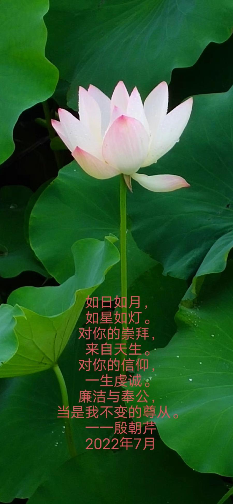 【连载厅】殷朝芹老师新作《见景生情》连载(十二)（图12）