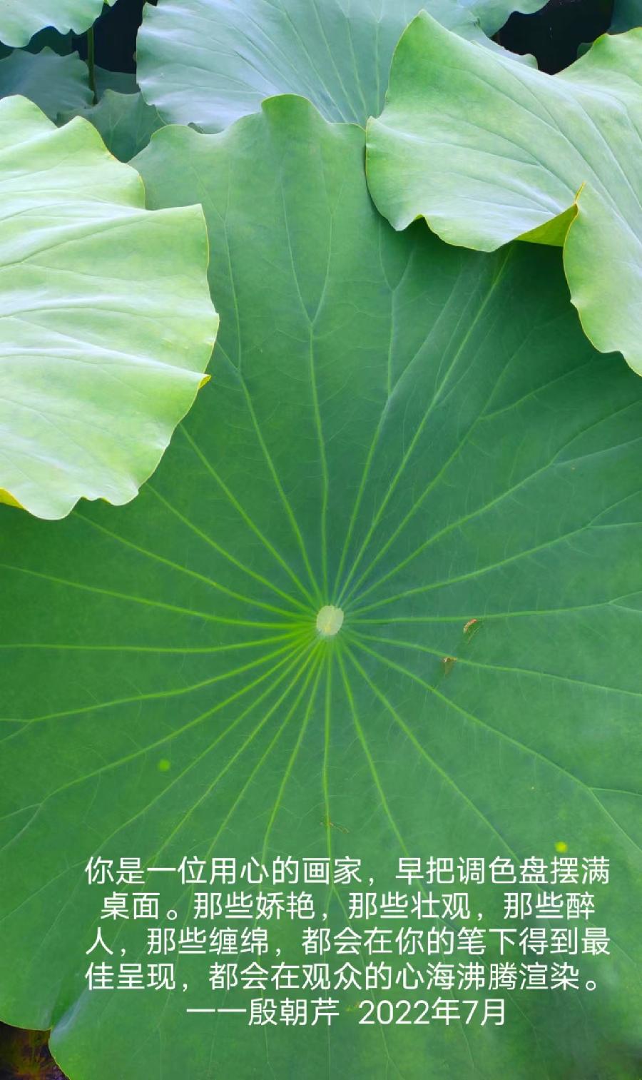 【连载厅】殷朝芹老师新作《见景生情》连载(十二)（图13）