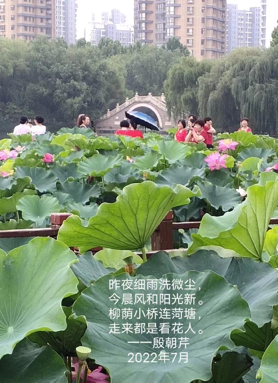 【连载厅】殷朝芹老师新作《见景生情》连载(十二)（图14）