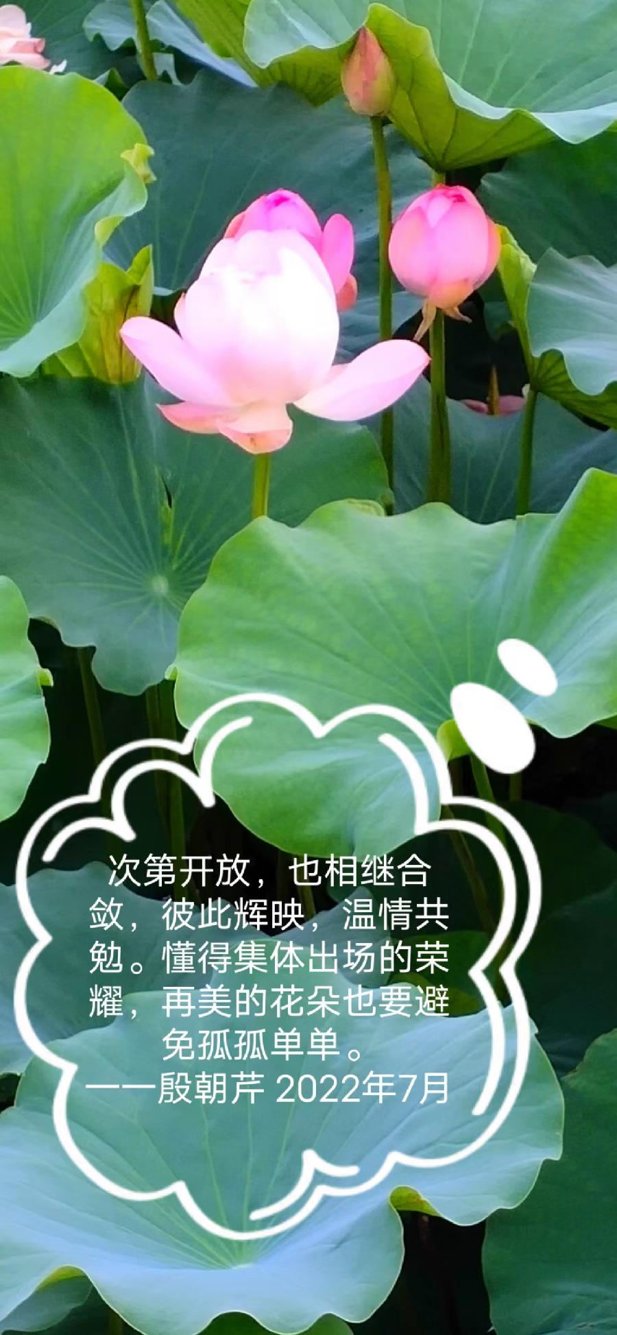 【连载厅】殷朝芹老师新作《见景生情》连载(十二)（图16）