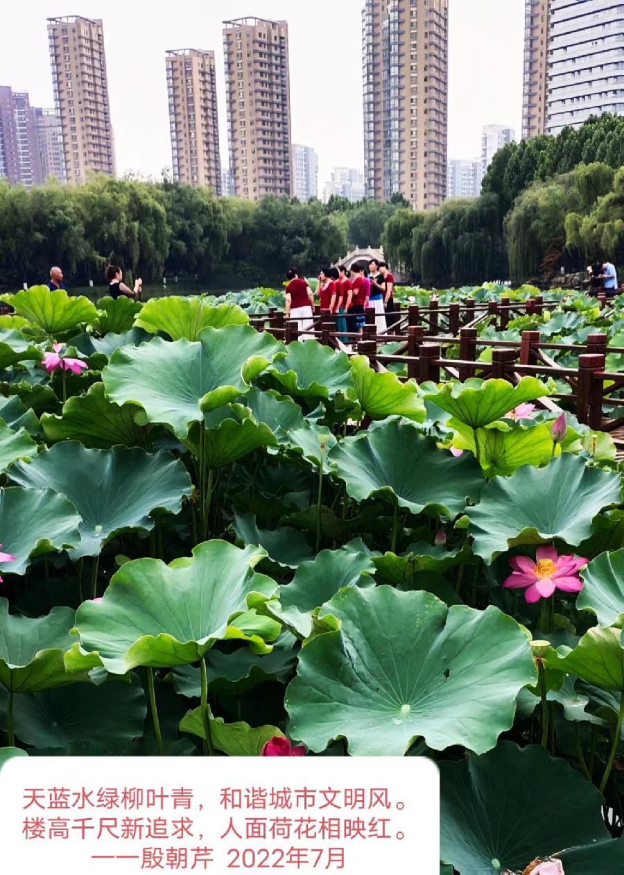 【连载厅】殷朝芹老师新作《见景生情》连载(十二)（图17）