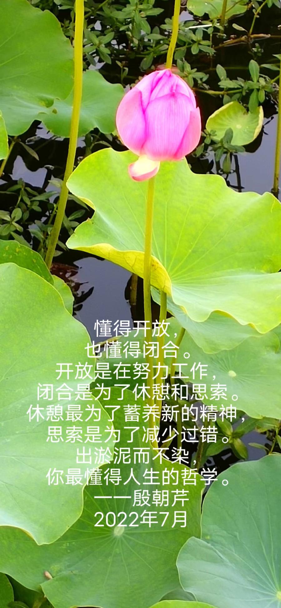【连载厅】殷朝芹老师新作《见景生情》连载(十二)（图21）