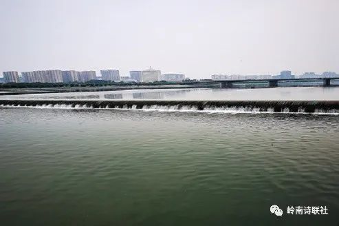浣溪沙•晨练赏景  何其山（山西太原）