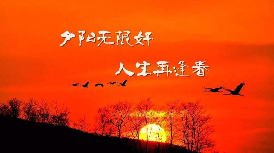 《我举目遥望夕阳》作者: 流水【诵读:金牌主播 悠闲】【华人诗者联盟】为你诵读专属的诗♬（图3）