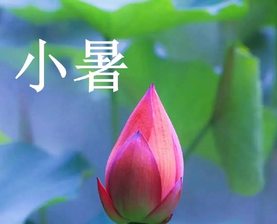 【都市头条】分享皮恩成《小暑》请欣赏(图4)