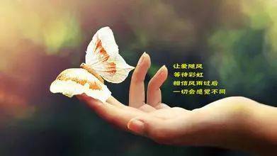 音画诗朗诵《我想你了》诵读/何永利 音画制作/婉玉(图4)